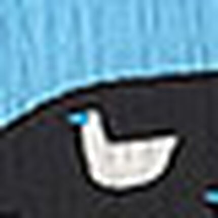 ワンピース, , swatch