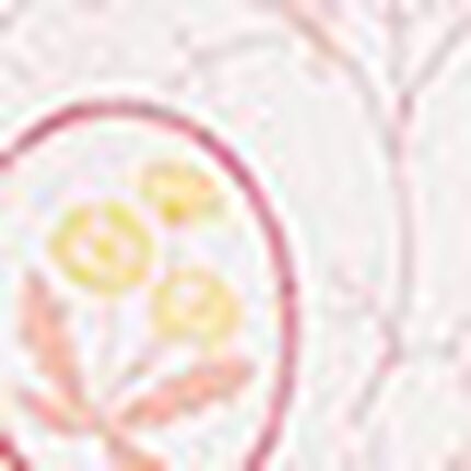 パジャマ, , swatch