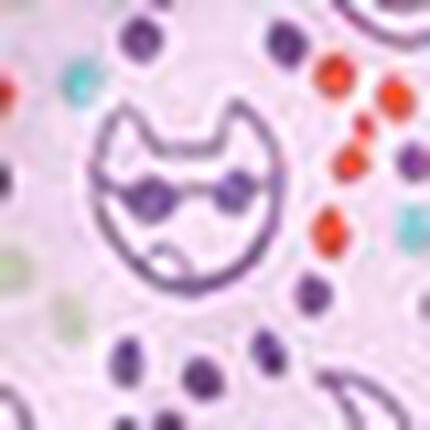 ノンワイヤーブラ, , swatch