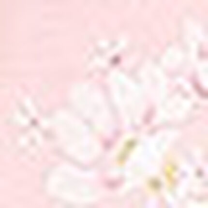パジャマ, , swatch
